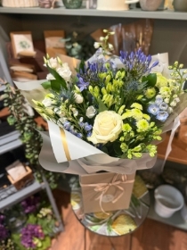 Delphinium Mixed