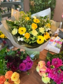 Sunhine Yellows